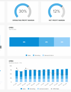 10 Editable Financial Statement Analysis Report Template Xls