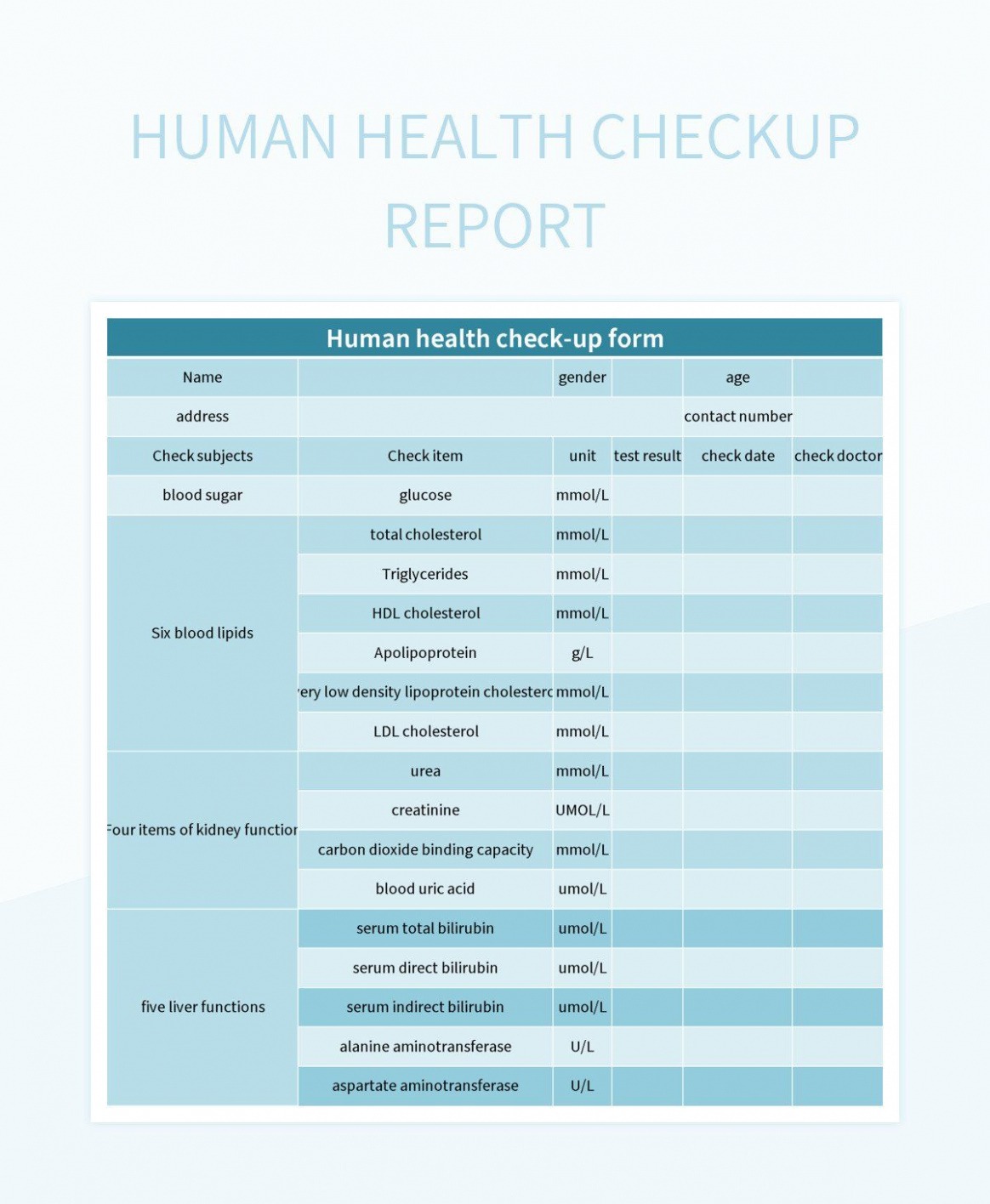 10 Printable Database Health Check Report Template Excel