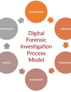 10 Printable Digital Forensics Investigation Report Template Doc