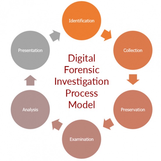 10 Printable Digital Forensics Investigation Report Template Doc