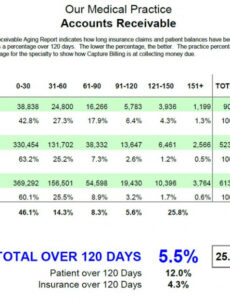 5  Accounts Payable Aging Report Template Doc