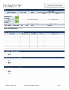 5  Army Daily Status Report Template Example