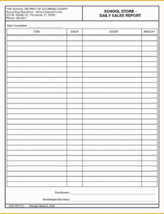 5  Bar Daily Sales Report Template