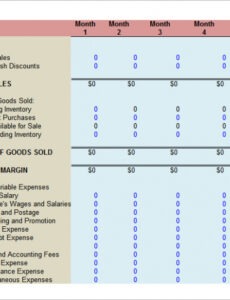 5  Business Analyst Status Report Template Example