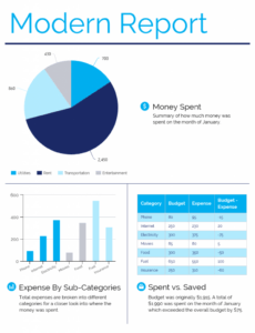 5  Business Analyst Status Report Template Sample