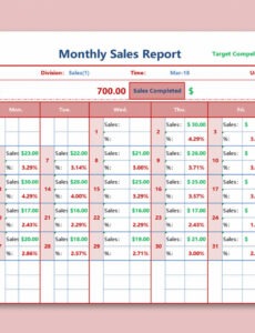 5 Editable Daily Sales Activity Report Template Excel