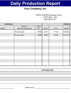 5 Editable Film Daily Production Report Template