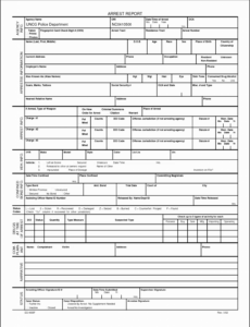 5 Printable Blank Fillable Police Report Template Excel