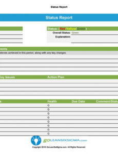 6  A3 Project Status Report Template Xls