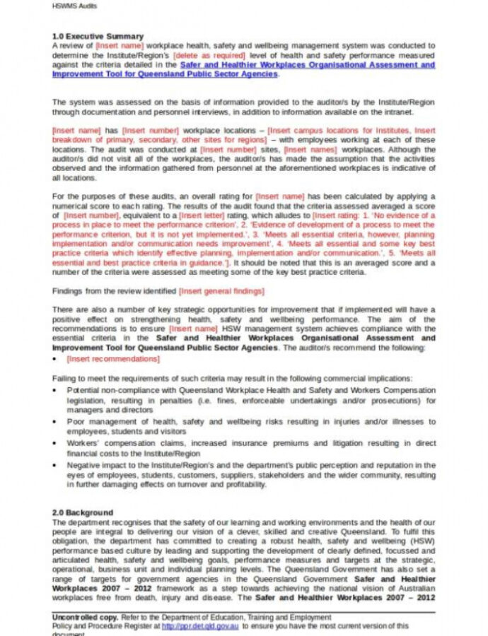 Food Safety Audit Report Example