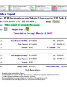 6 Printable Daily Project Status Report Template Excel