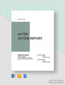 6 Printable Disaster After Action Report Template Docx