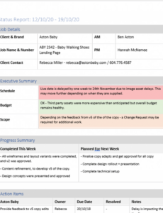 7 Bi Weekly Status Report Template Xls