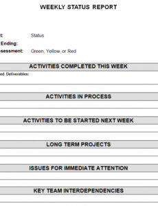 7} Editable Bi Weekly Status Report Template Excel