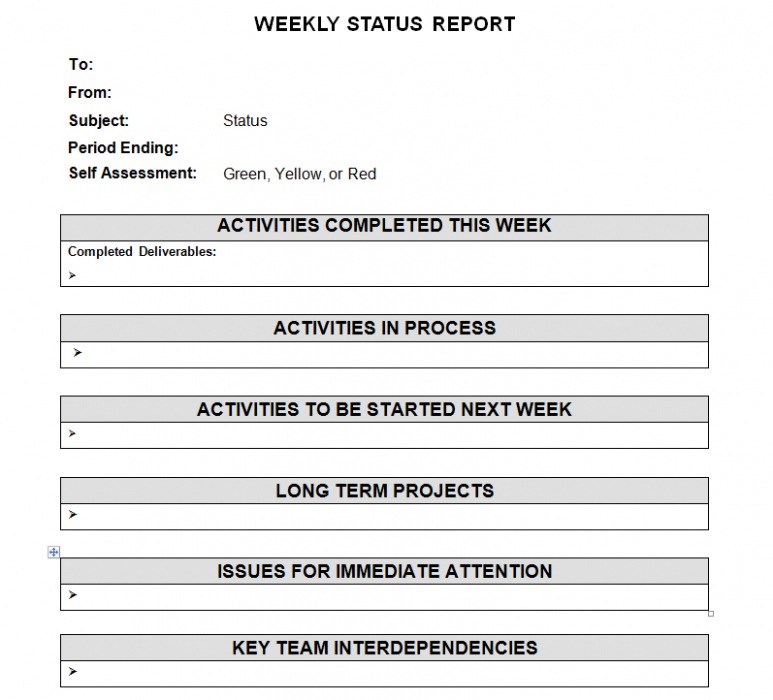 7} Editable Bi Weekly Status Report Template Excel