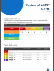 7} Editable Executive Summary Audit Report Template Xls