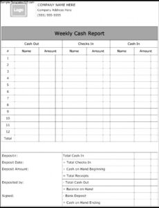 7} Printable Daily Cash Position Report Template Sample