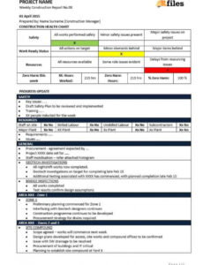 8 Editable Bi Weekly Progress Report Template Word