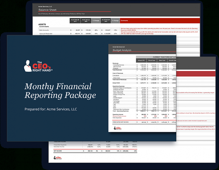 8 Editable Financial Report Template Google Sheets Docx