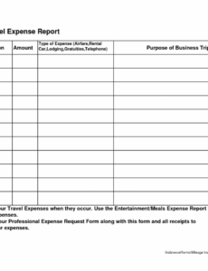 8  Employee Travel Expense Report Template Sample