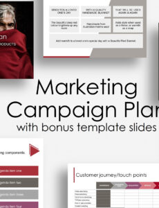 8 Printable Digital Marketing Campaign Report Template Docs