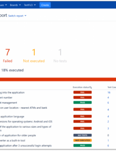 9 Editable Daily Test Execution Status Report Template