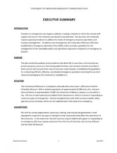 9  Executive Summary Business Report Template Doc