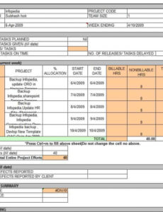 9 Printable Account Manager Weekly Report Template