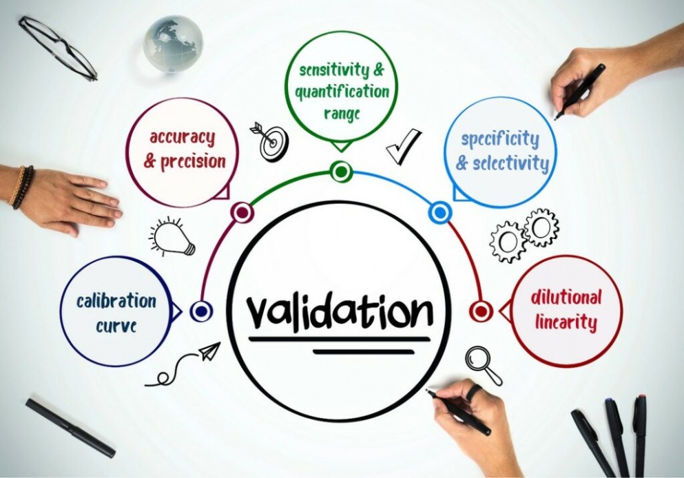 Best  Bioanalytical Method Validation Report Template Xls