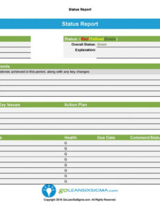 Best Printable Daily Project Status Report Template Example