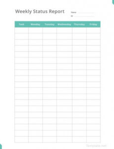 Editable Executive Weekly Status Report Template Sample