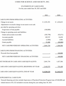 Editable Financial Statement Review Report Template Pdf