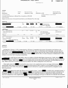 Free  Blank Fillable Police Report Template Doc