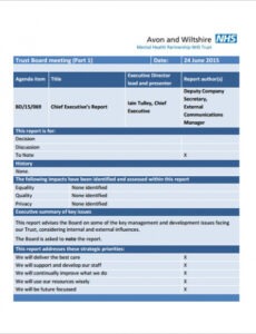 Free Editable Executive Summary Financial Report Template Docs