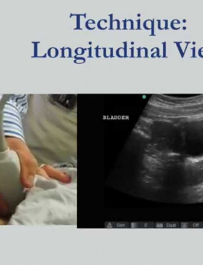 behavior-report-template