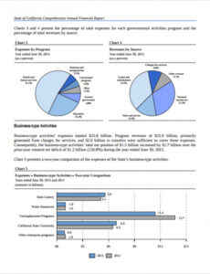 Free  End Of Year Financial Report Template Docs