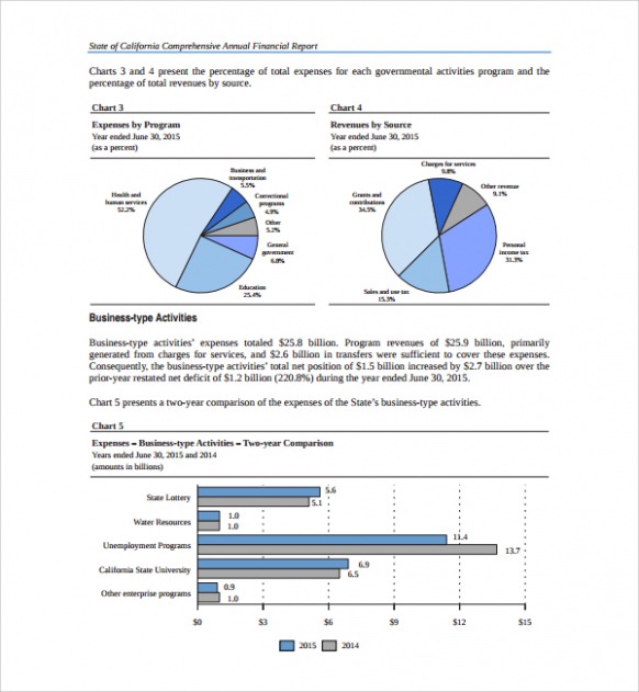 Free  End Of Year Financial Report Template Docs