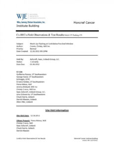 Free Printable Construction Field Observation Report Template Pdf