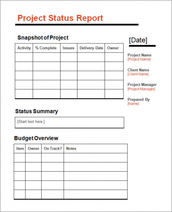 Free Printable Construction Project Status Report Template Xls