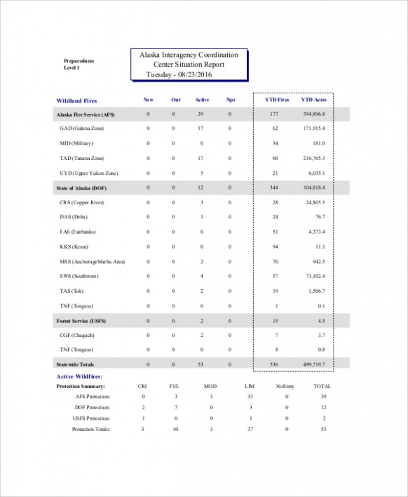 Free Printable Emergency Management Situation Report Template Pdf