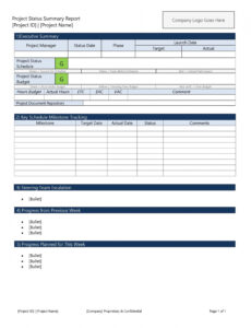 Printable Business Development Weekly Report Template Docx