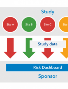 Printable Data Safety Monitoring Report Template Docs