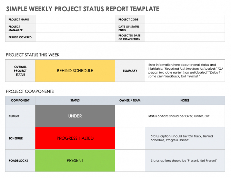 Top  Agile Weekly Status Report Template Word