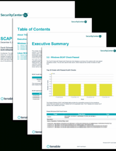 Top  Cyber Security Audit Report Template Xls