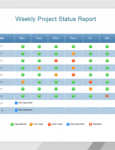 Top Editable Agile Project Weekly Status Report Template Sample