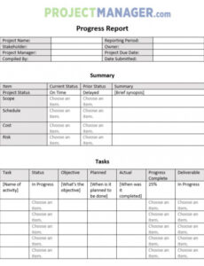 10 Editable Work In Progress Report Template Example