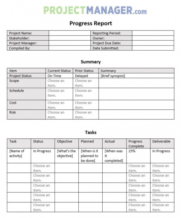 10 Editable Work In Progress Report Template Example