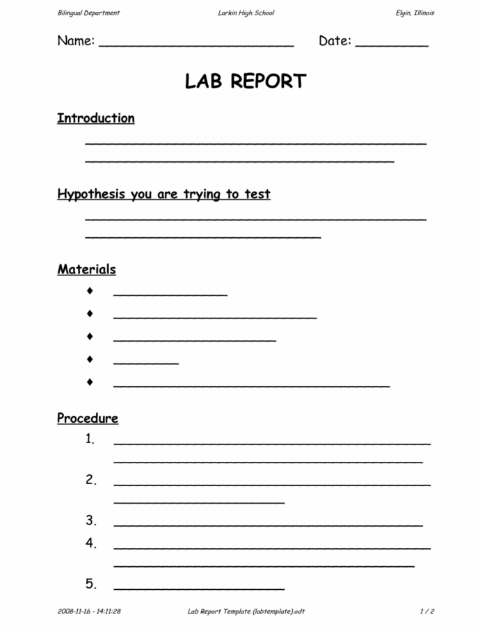 Ib Physics Lab Report Template