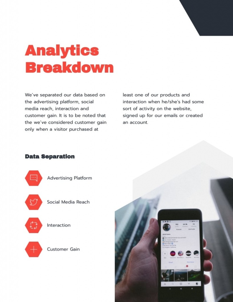 10  Social Media Client Report Template Docs