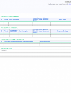 7} Editable Executive Project Status Report Template Docs